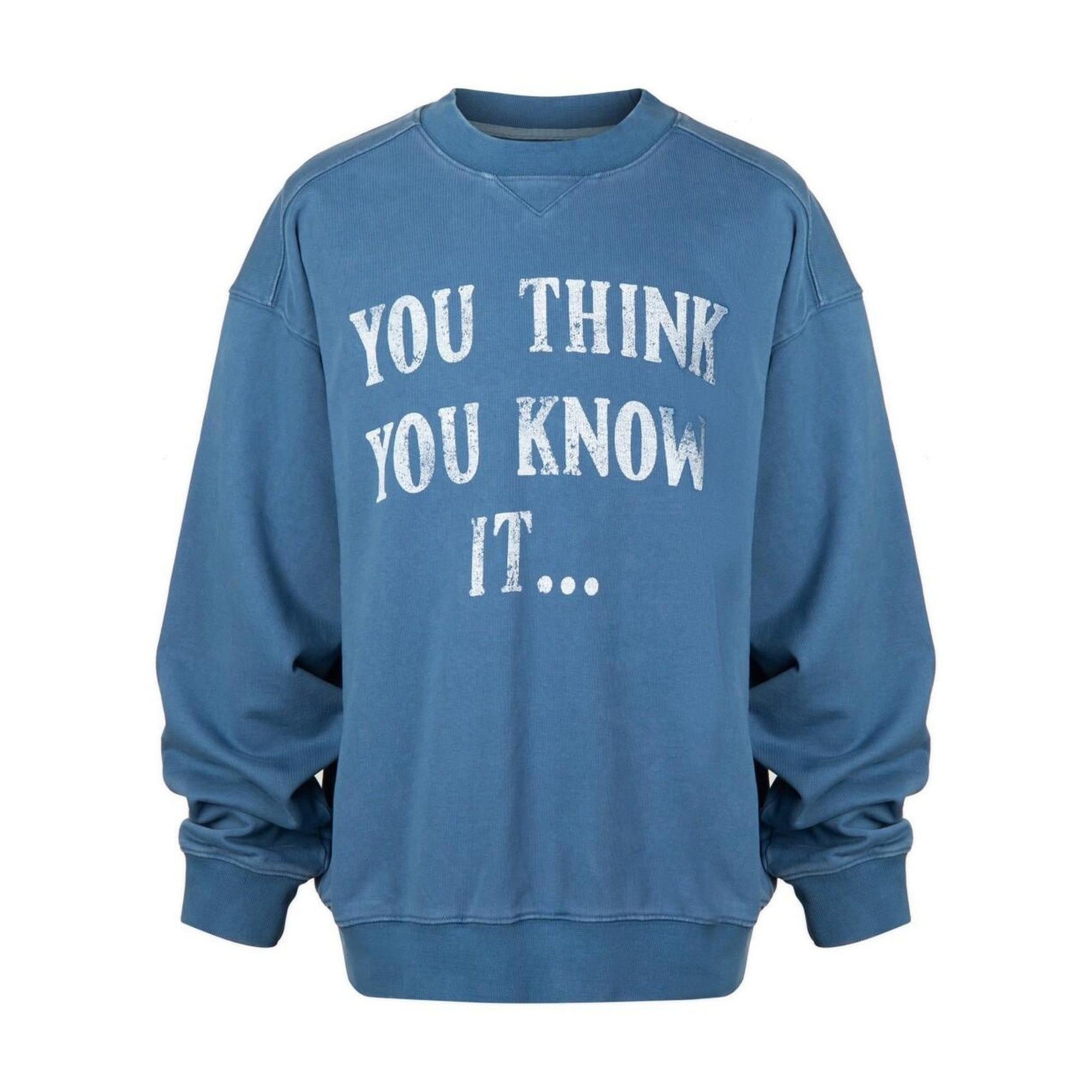 Cotton Terry Printed Loose Fit Drop Shoulder Casual Men Blue Crew Sweatshirts main image